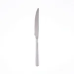 Danny Home Stainless Steel Dinner Knife Set (3-Piece) | SKU: RD041-1